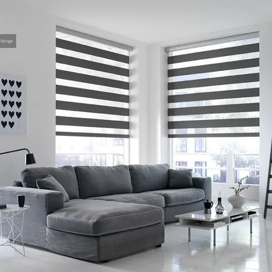 Day and Night Blinds Swatch