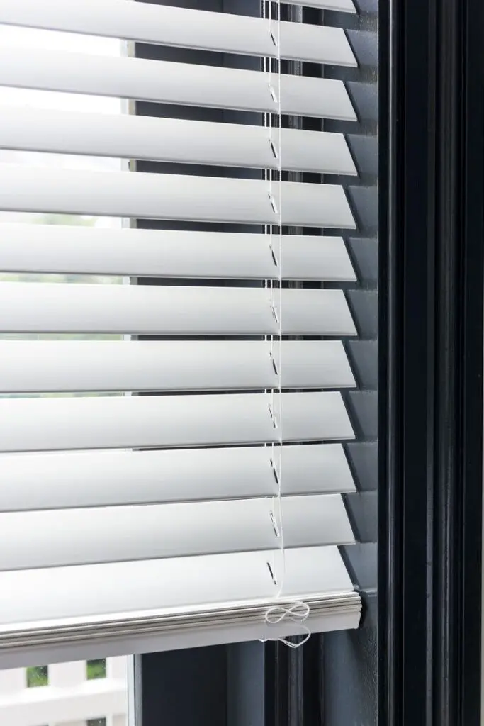 Venetian Blinds vs Vertical Blinds article thumbnail